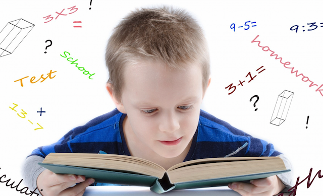 Numdle training